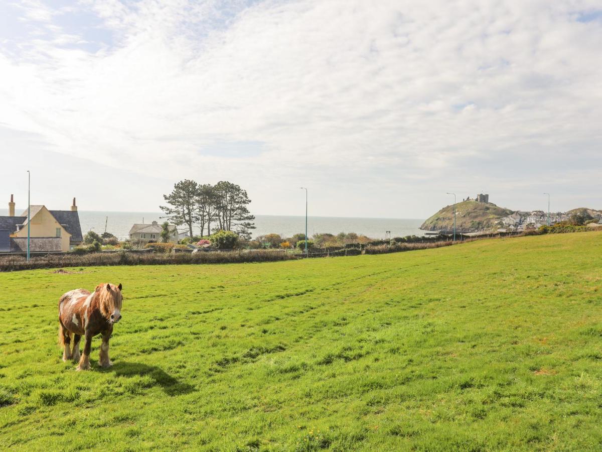 Awelfryn Villa Criccieth Exterior photo